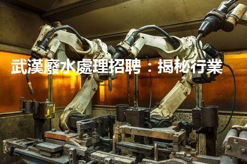 武漢廢水處理招聘：揭秘行業(yè)內(nèi)幕，你不明白的就業(yè)機(jī)會(huì)？